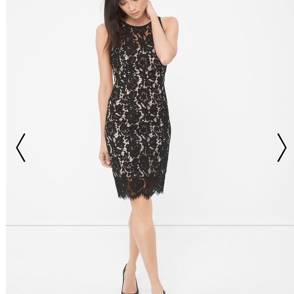 White House Black Market Lace Sheath Dress
